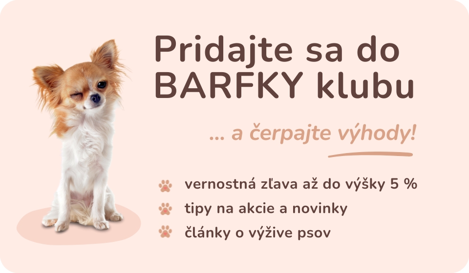 FINAL NA STRANKU 1
